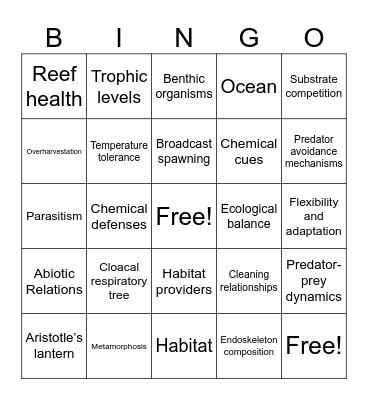 Echinoderm Bingo Card