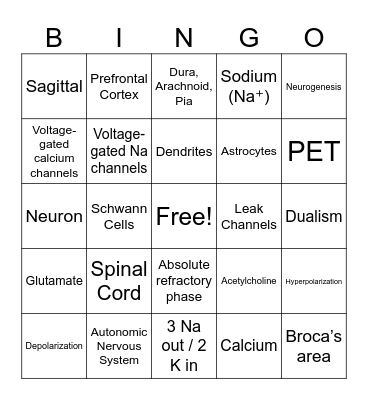 Neuro Bingo Card