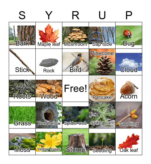Sugar Bush BINGO Card