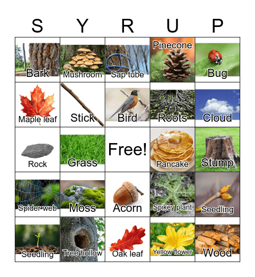 Sugar Bush BINGO Card