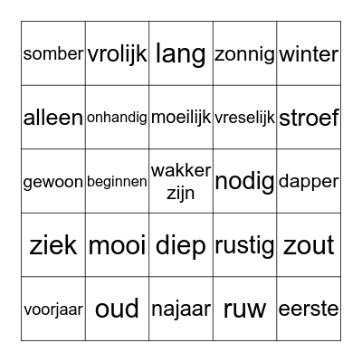 tegenstellingen Bingo Card
