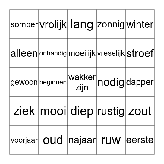 tegenstellingen Bingo Card