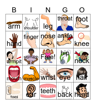 Body Part Bingo Card