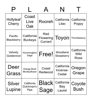 California Native Plants! Bingo Card