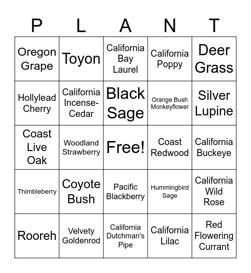 Berkeley Native Plants! Bingo Card