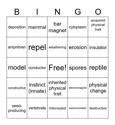 Science Vocabulary Review Bingo Card