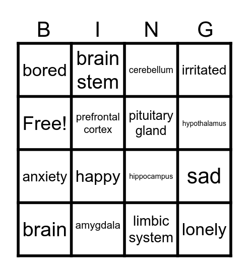 career day Bingo Card