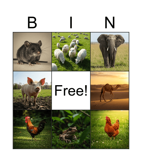 Animals Bingo Card