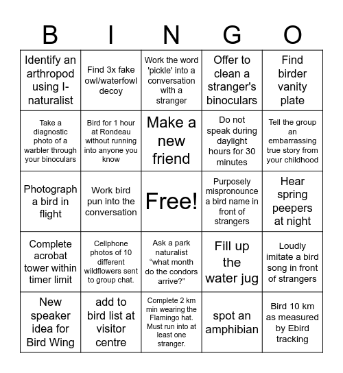 BIRDO 2025 Bingo Card