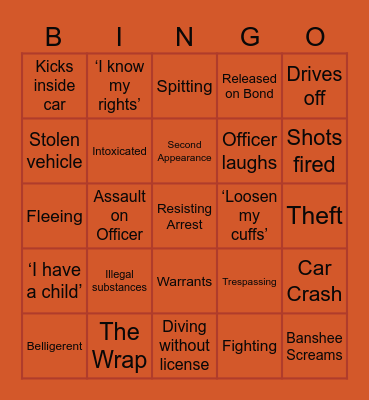 Body cam Bingo Card