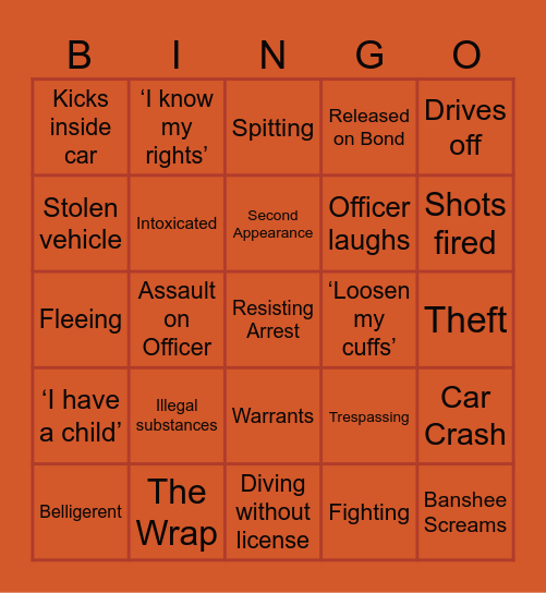 Body cam Bingo Card
