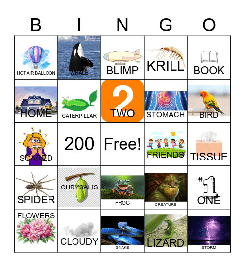 THE LITTLE BUTTERFLY THAT COULD Bingo Card