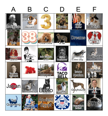 Cat & Dog Trivia Bingo Card