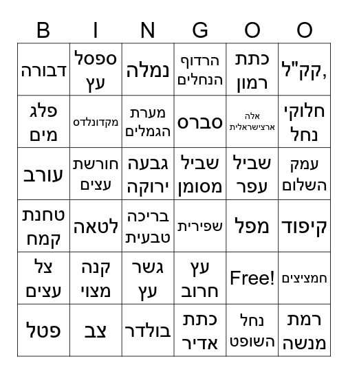 טבע ארץ ישראלי Bingo Card