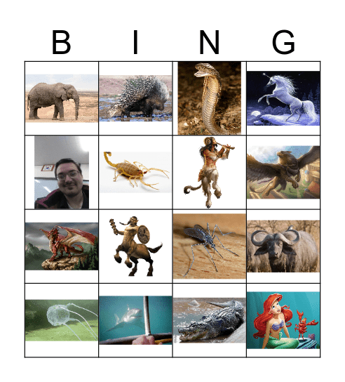 Animal Bingo! Bingo Card