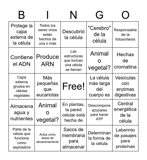 BINGO CELULAR Bingo Card