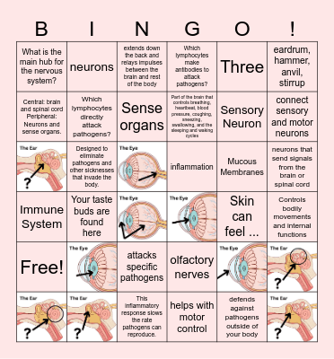 Ch 16 Review Bingo Card