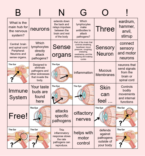 Ch 16 Review Bingo Card