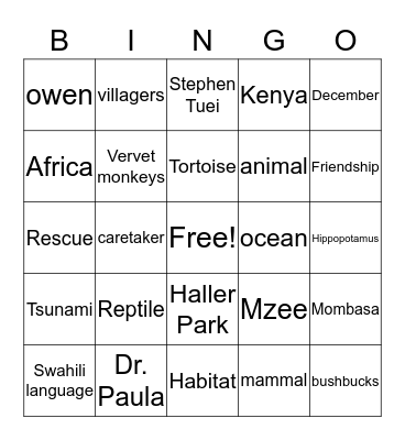 Owen and Mzee Bingo Card