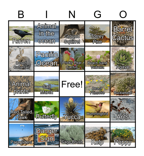 Torrey Pines Bingo Card