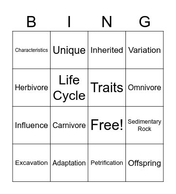 Adaptation Vocabulary Bingo Card