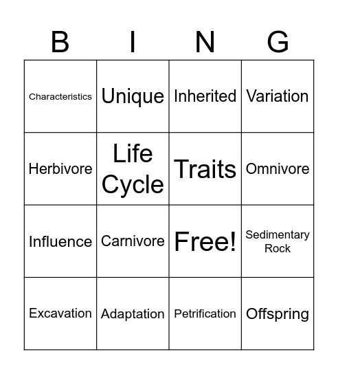 Adaptation Vocabulary Bingo Card