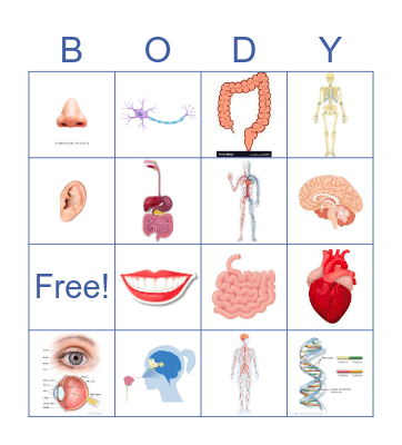 LiftEd Anatomy Bingo Card