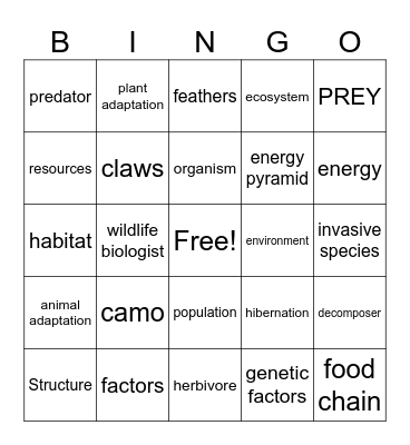 Ecosystem Bingo Card