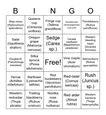 WSP 2025 Spring Training Bingo Card