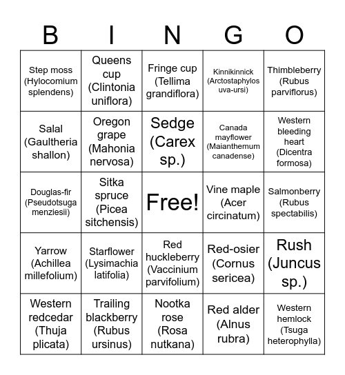 WSP 2025 Spring Training Bingo Card