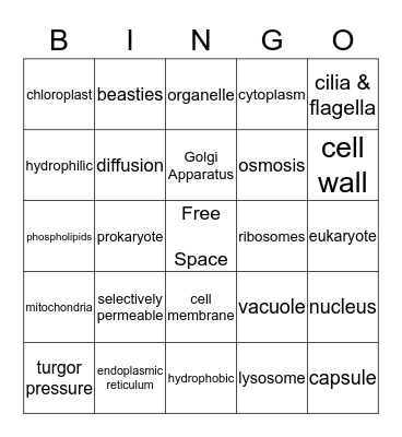 Ch. 3 Cells Bingo Card