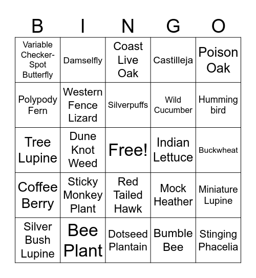 Lobos Valley Bingo Card