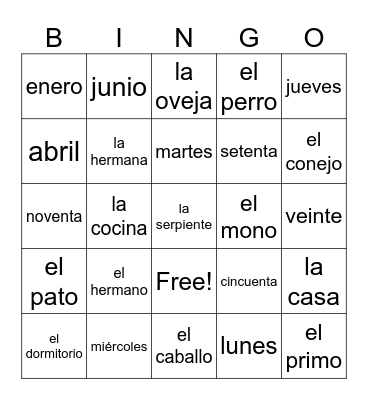Español Bingo Card