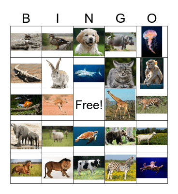 Animal Bingo Card