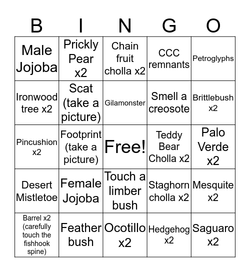 Saguaro Bingo Card