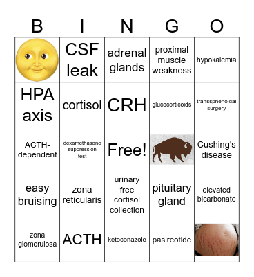 Cushing's Bingo Card