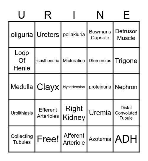 Anatomy Urinary Bingo Card