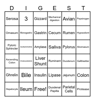 Anatomy- Digestive System Bingo Card