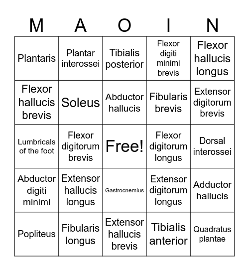 M7 MAOIN BINGO Card