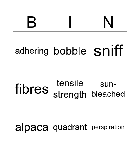 Sherlock vocabulary Bingo Card