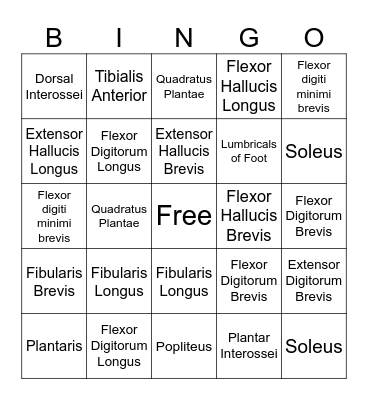 MAOIN Bingo Card