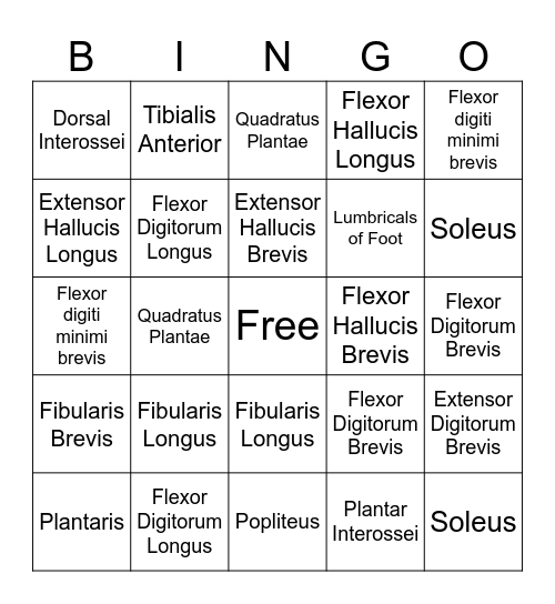 MAOIN Bingo Card