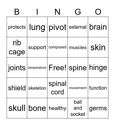 Human Body Bingo Card