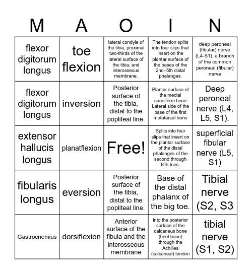MAOIN Bingo Card