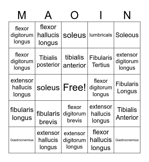 MAOIN Bingo Card