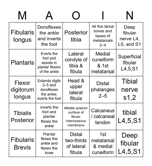 Anatomy Bingo Card