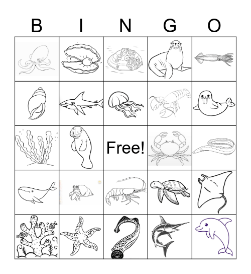 Zoology 2 Bingo Card