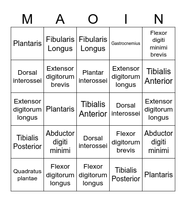 Anatomy Bingo Card