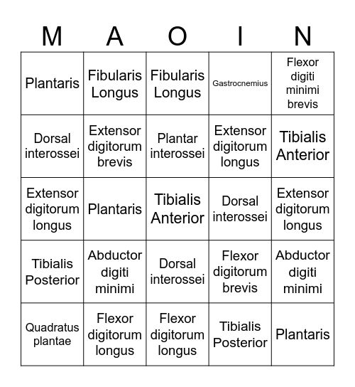 Anatomy Bingo Card
