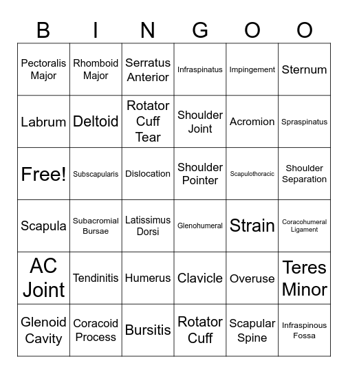 Shoulder Review Bingo Card